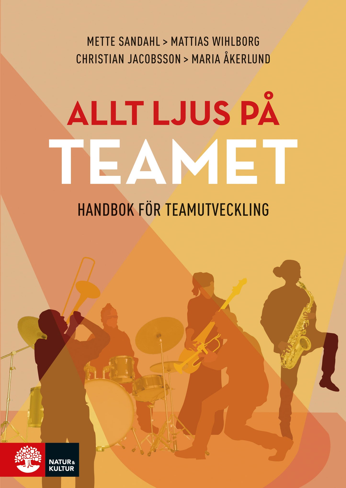 Allt ljus på teamet : en handbok för teamutveckling - Digital - Laddas ner