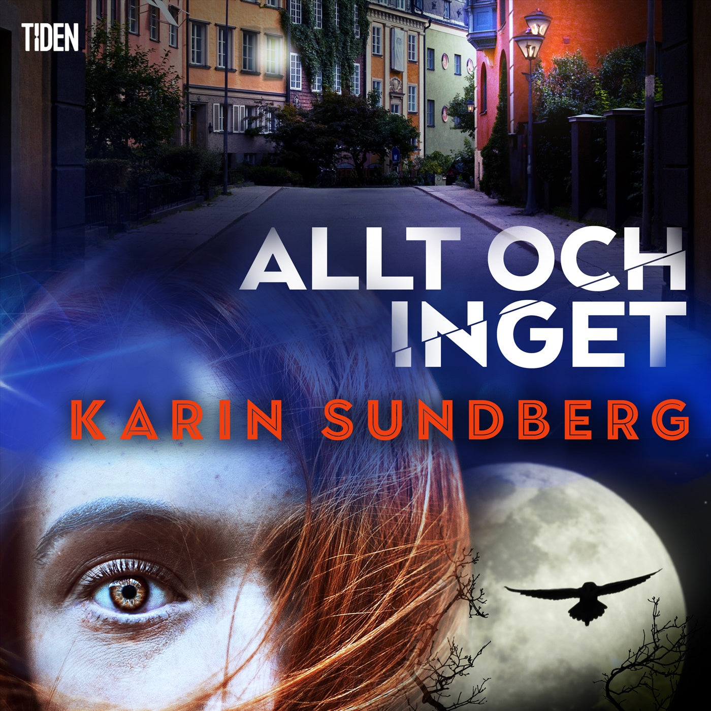 Allt och inget – Ljudbok