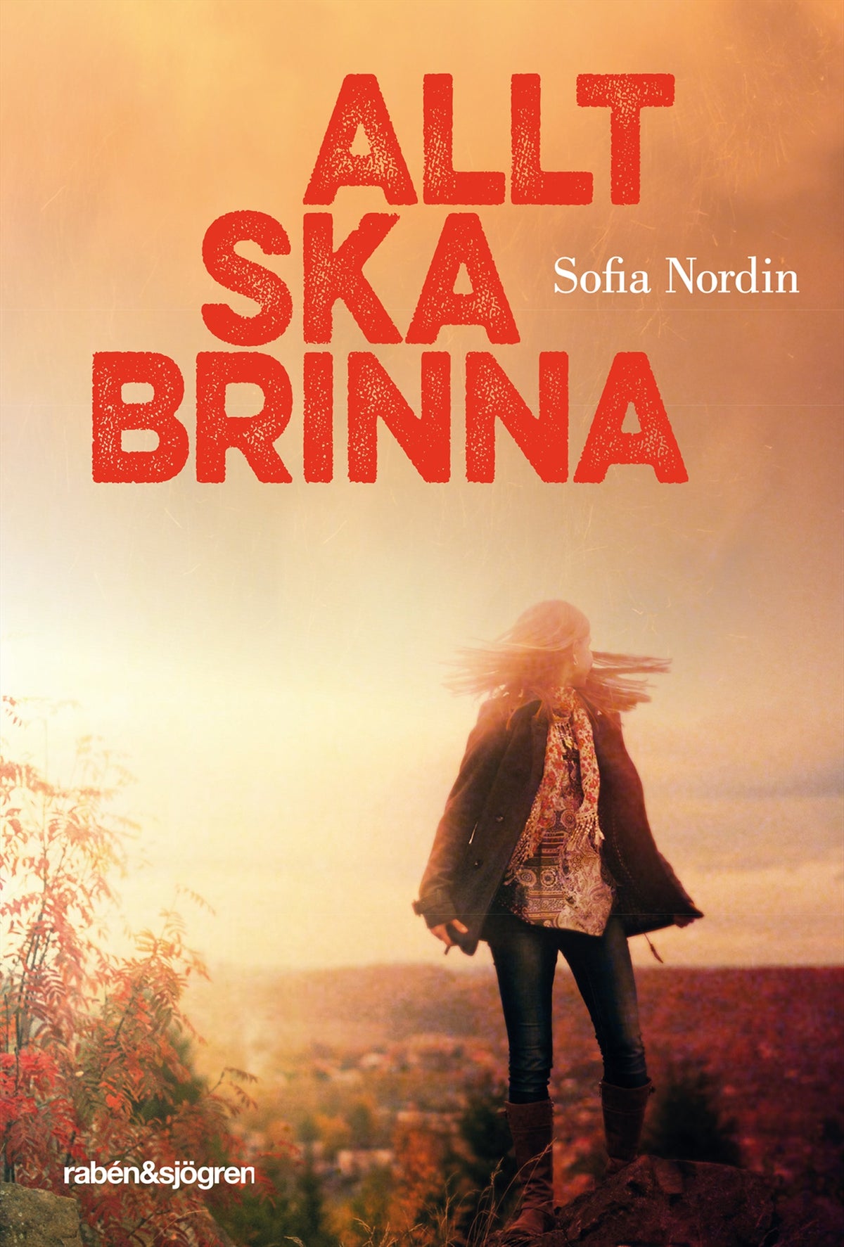 Allt ska brinna – E-bok