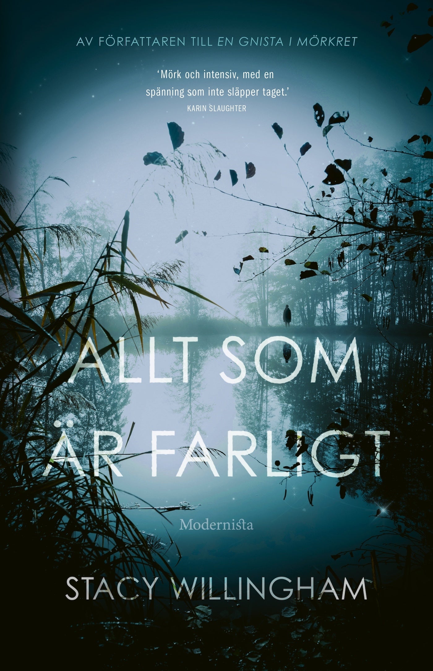 Allt som är farligt – E-bok