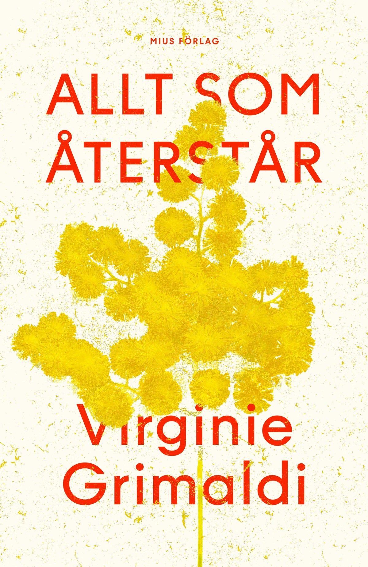 Allt som återstår – E-bok