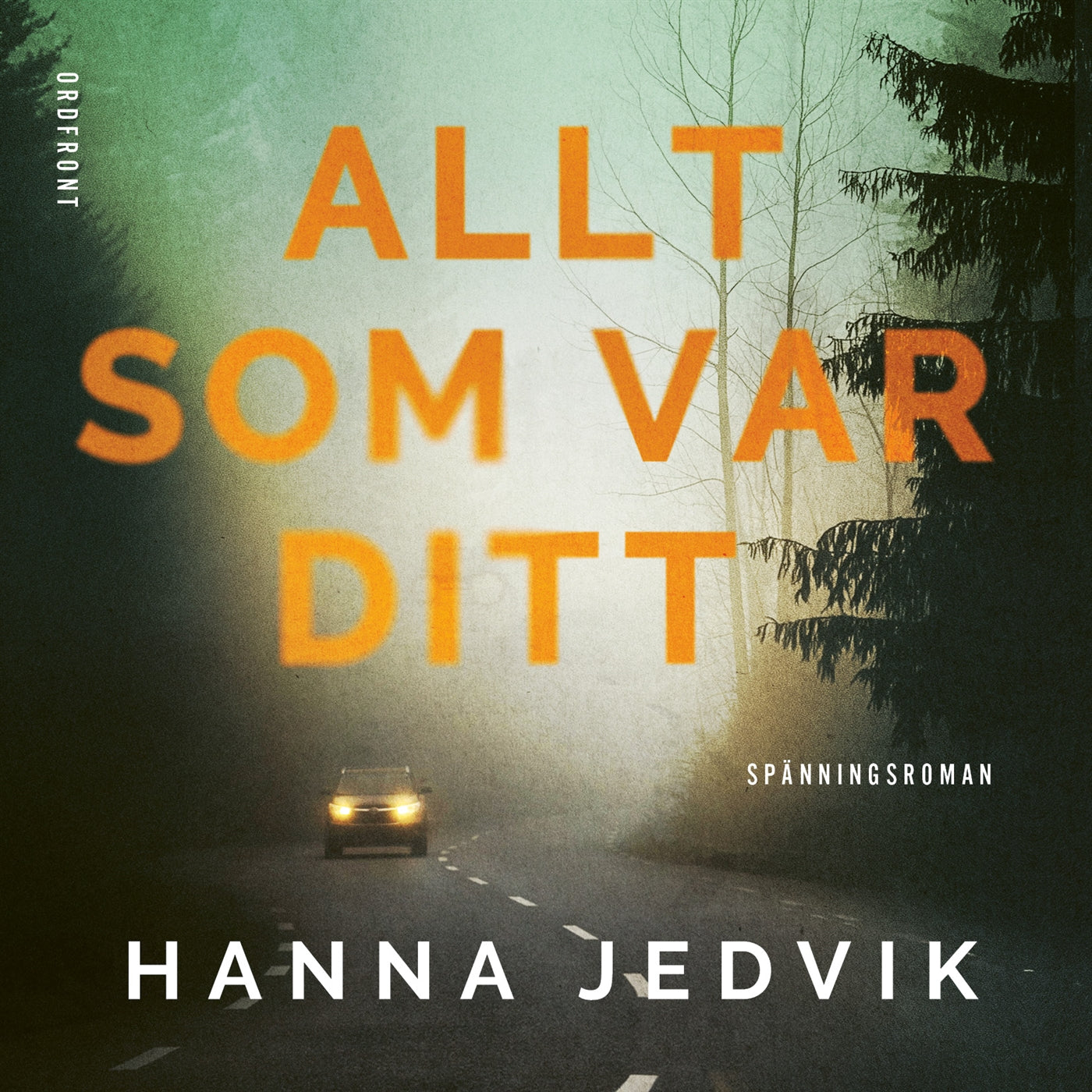 Allt som var ditt – Ljudbok