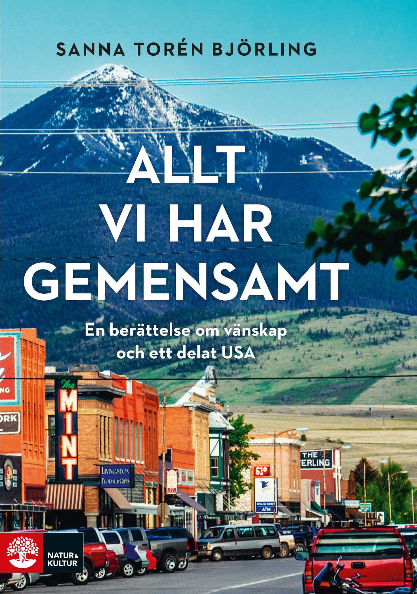 Allt vi har gemensamt : en berättelse om vänskap och ett delat USA – E-bok