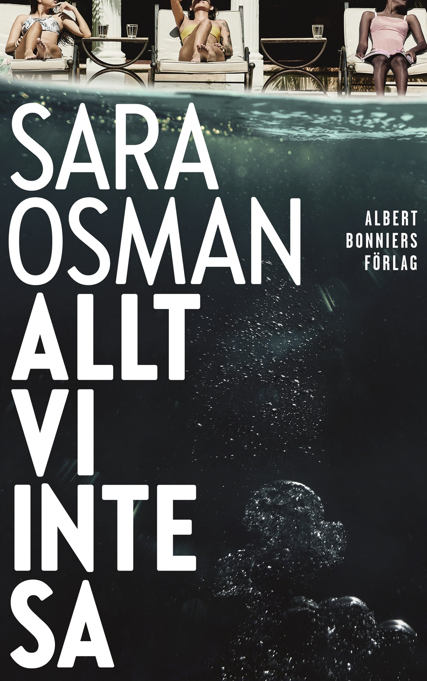 Allt vi inte sa – E-bok