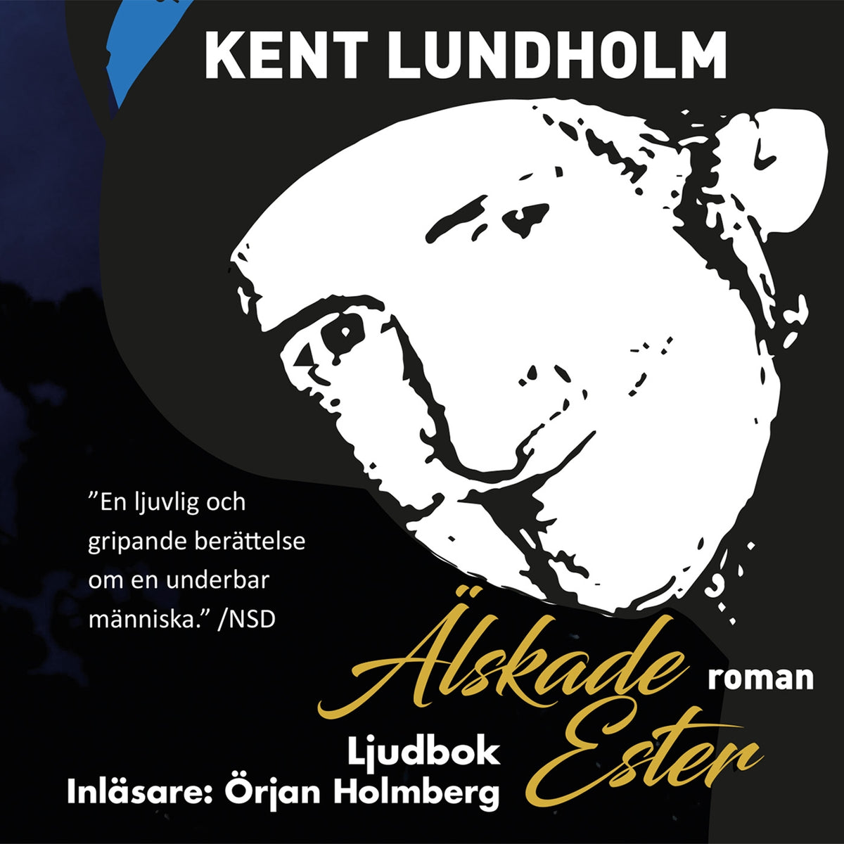 Älskade Ester – Ljudbok
