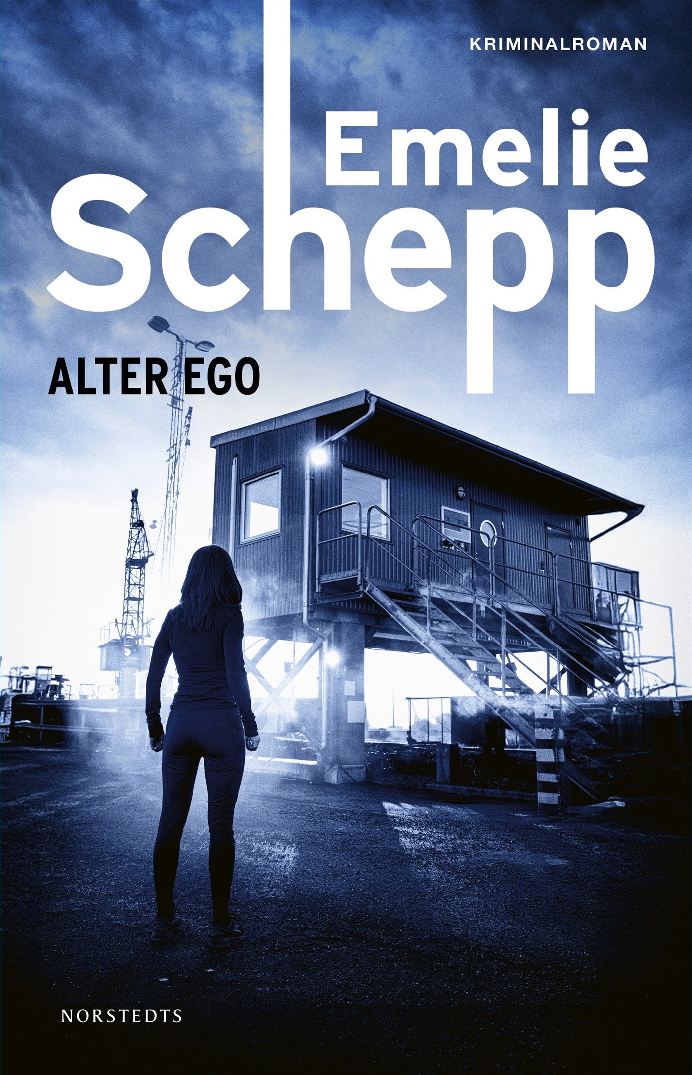 Alter ego – E-bok