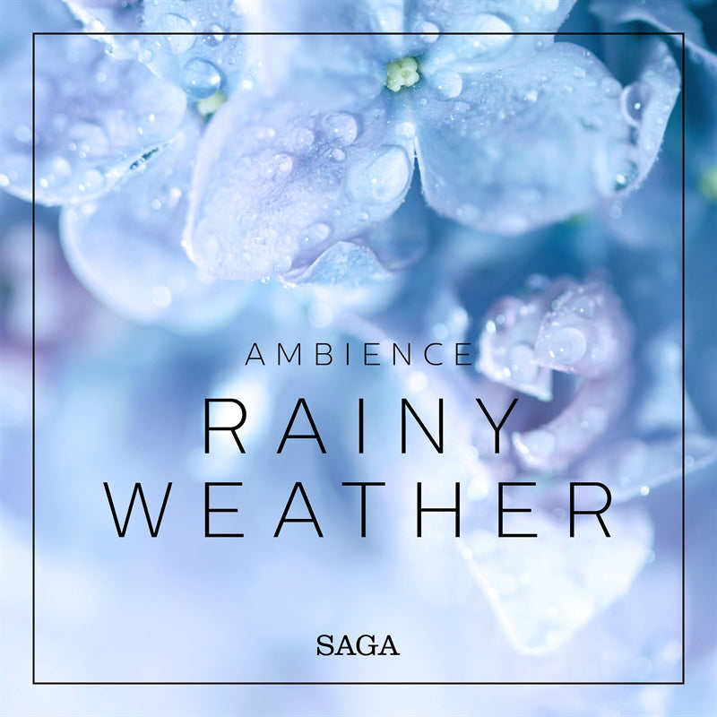 Ambience - Rainy Weather – Ljudbok