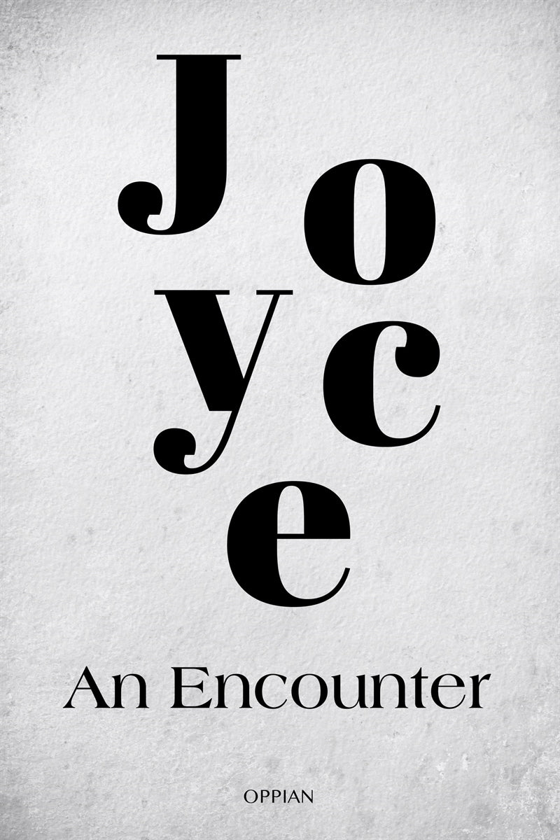 An Encounter – E-bok
