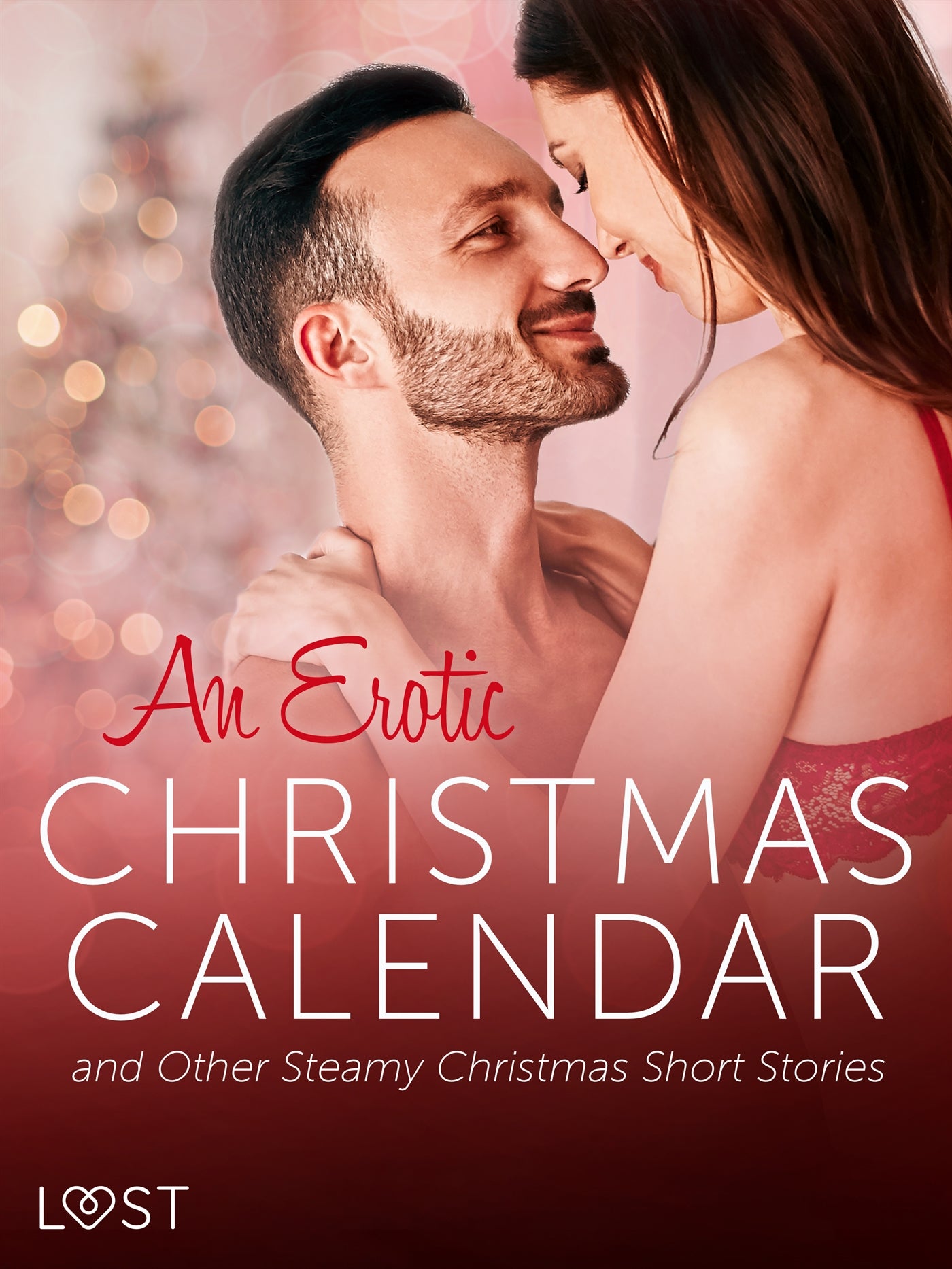 An Erotic Christmas Calendar and Other Steamy Christmas Short Stories – E-bok