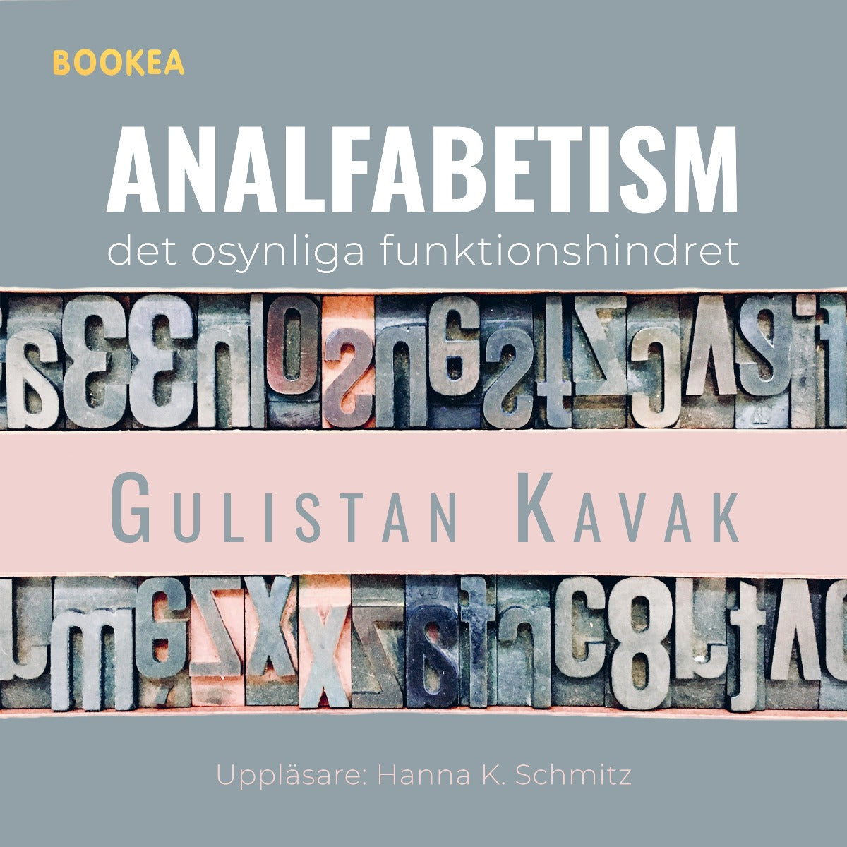 Analfabetism : det osynliga funktionshindret – Ljudbok