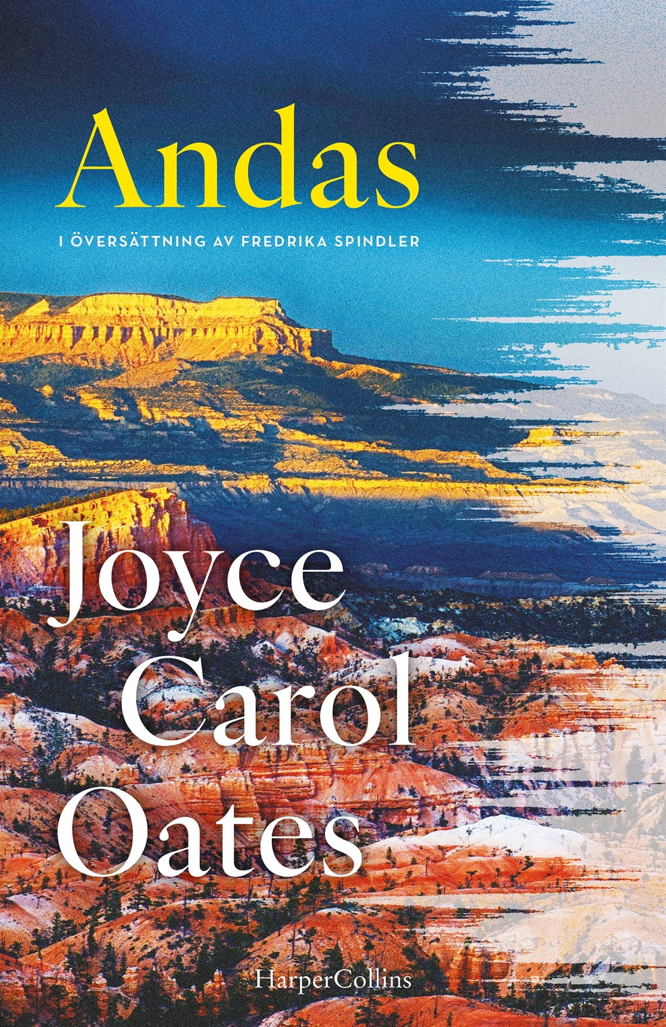 Andas – E-bok