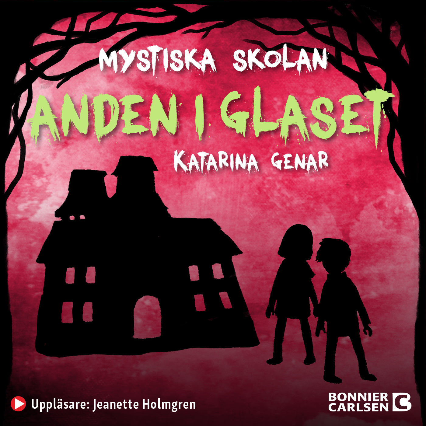 Anden i glaset – Ljudbok