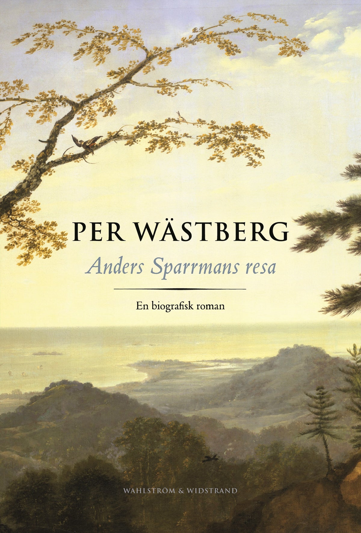 Anders Sparrmans resa – E-bok