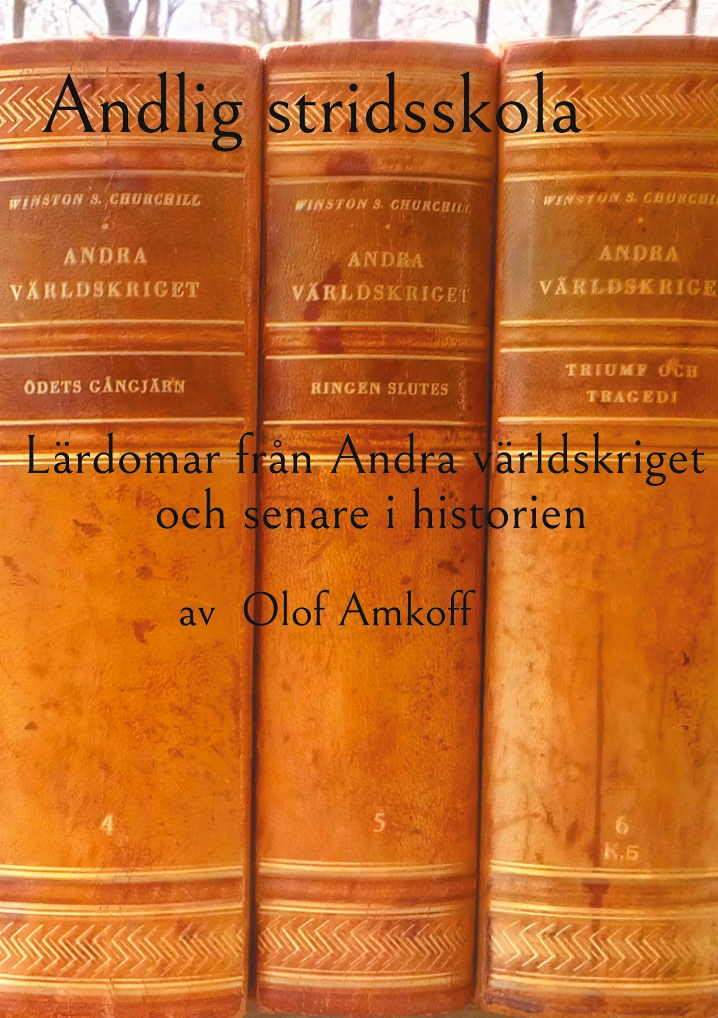 Andlig stridsskola: Lärdomar från Andra världskriget och senare i historien. – E-bok
