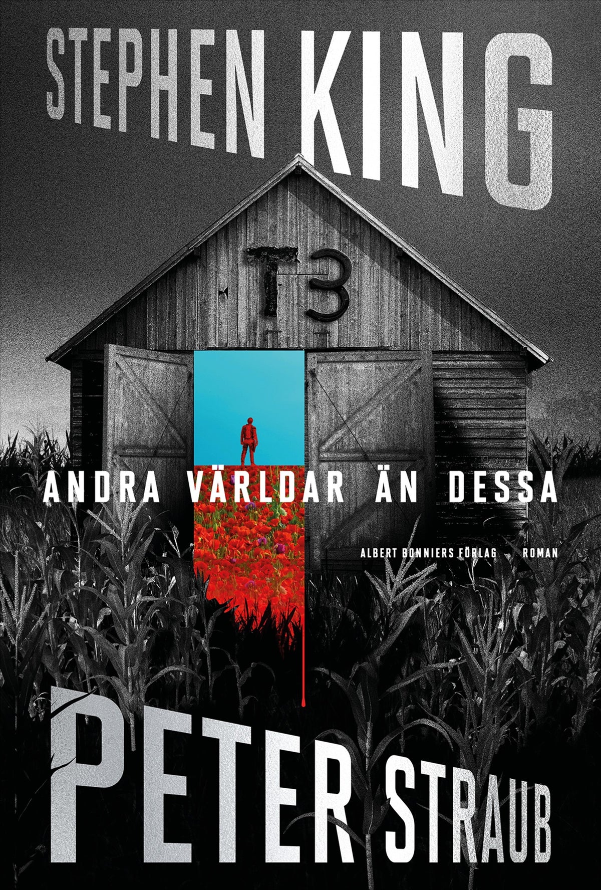 Andra världar än dessa – E-bok