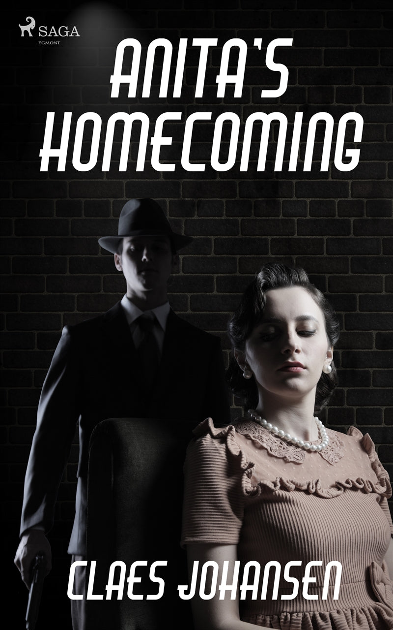 Anita’s Homecoming – E-bok