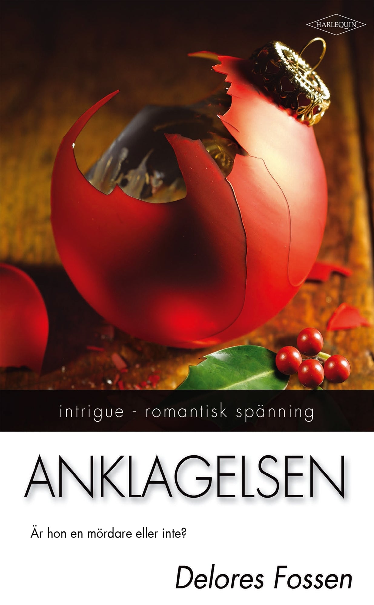 Anklagelsen – E-bok