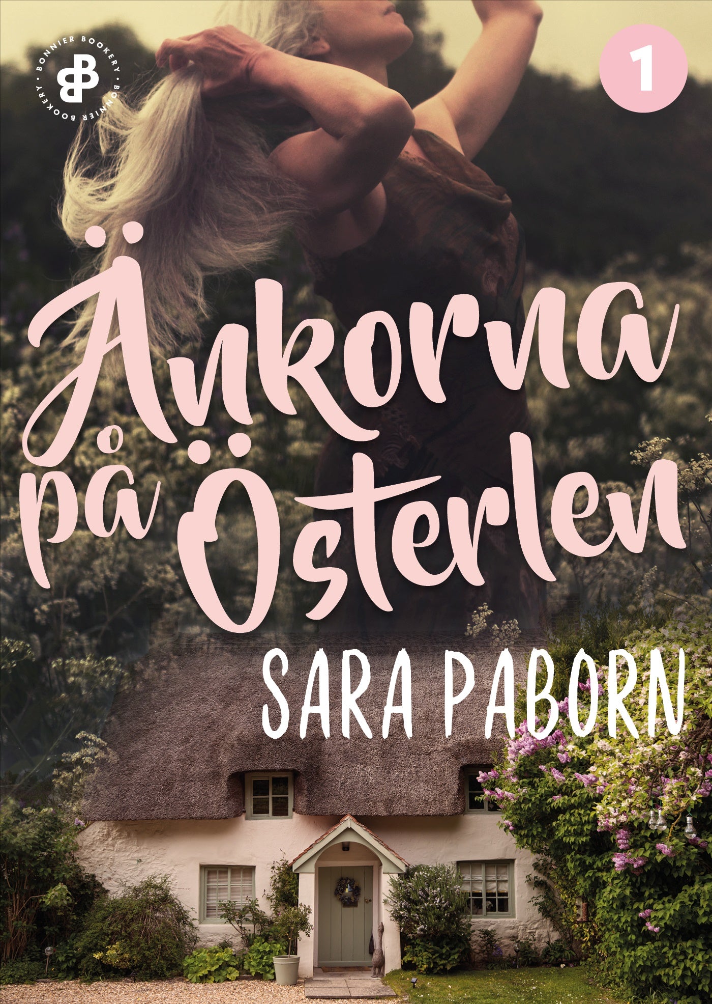 Änkorna på Österlen – E-bok