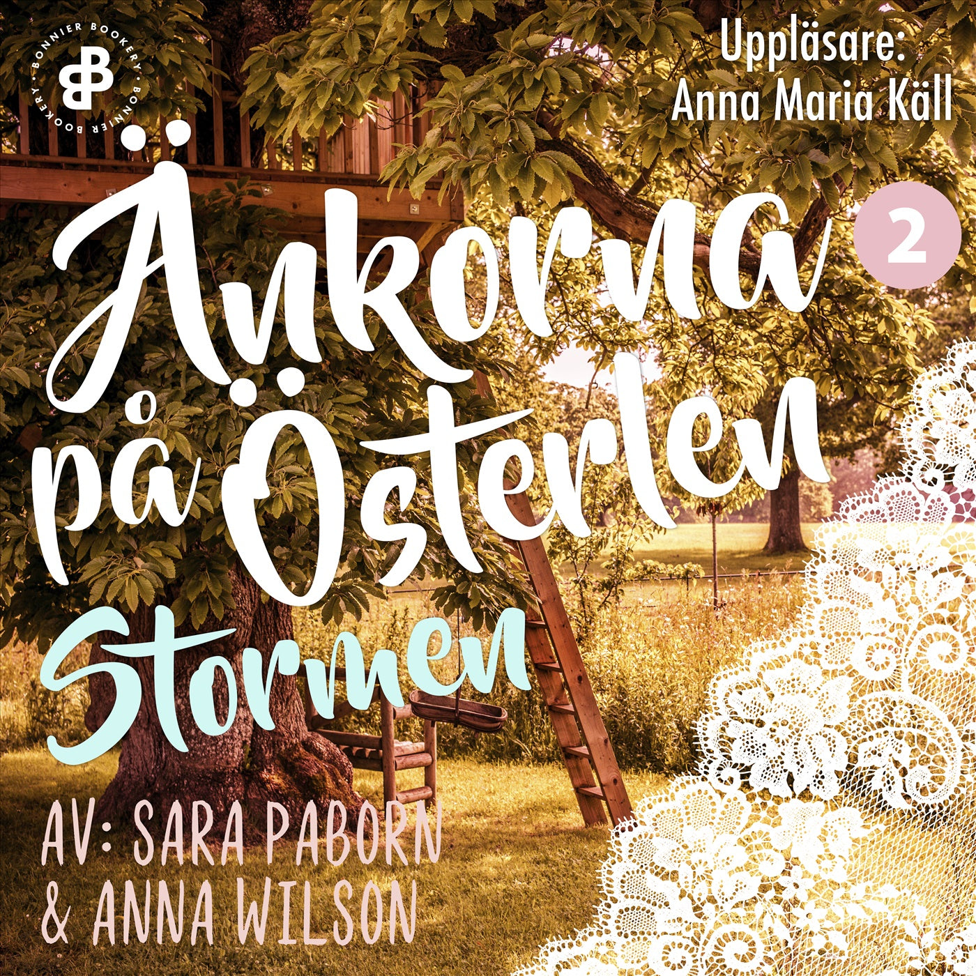 Änkorna på Österlen. Stormen – Ljudbok