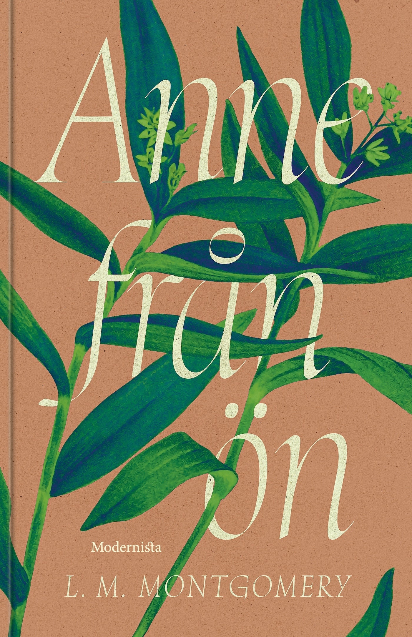 Anne från ön – E-bok