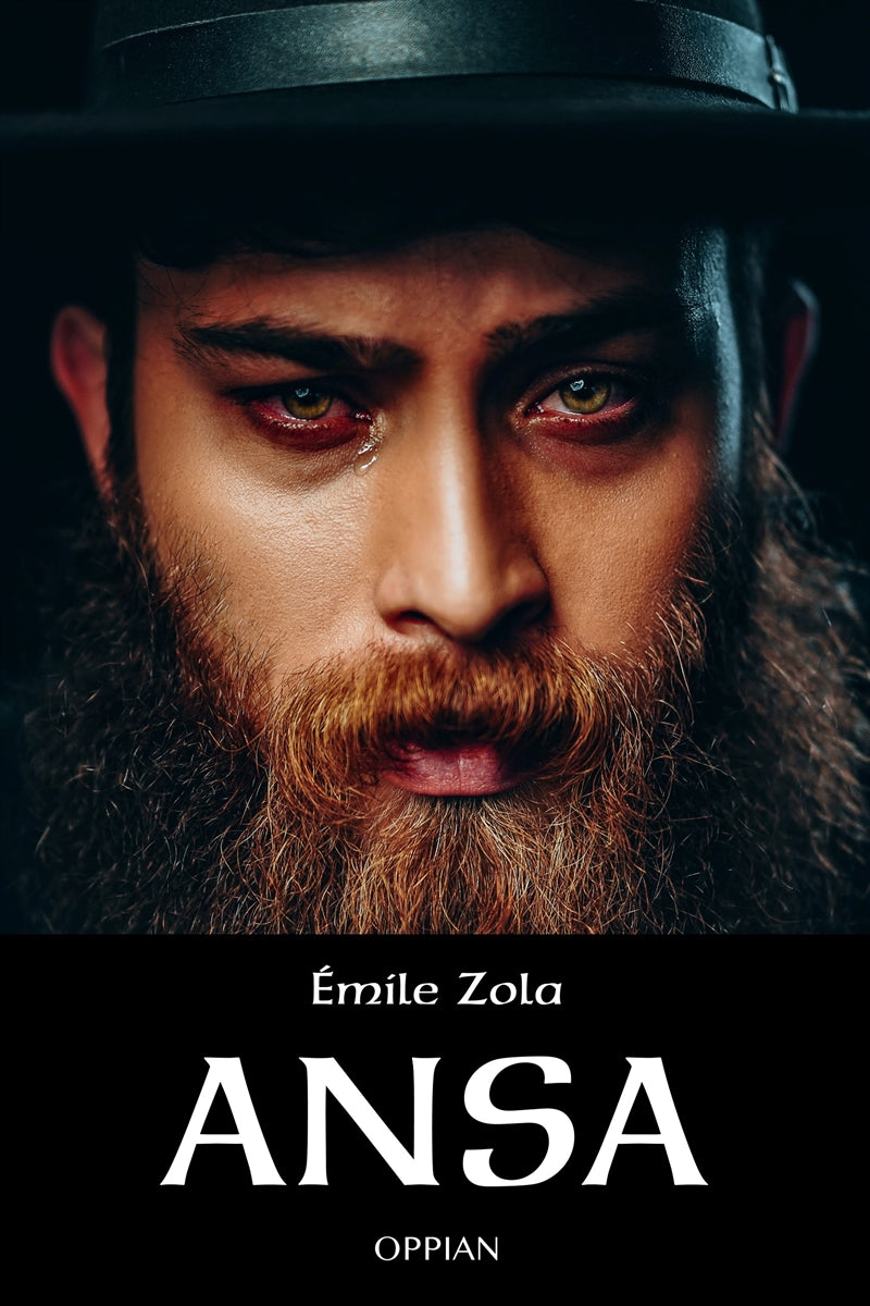 Ansa – E-bok