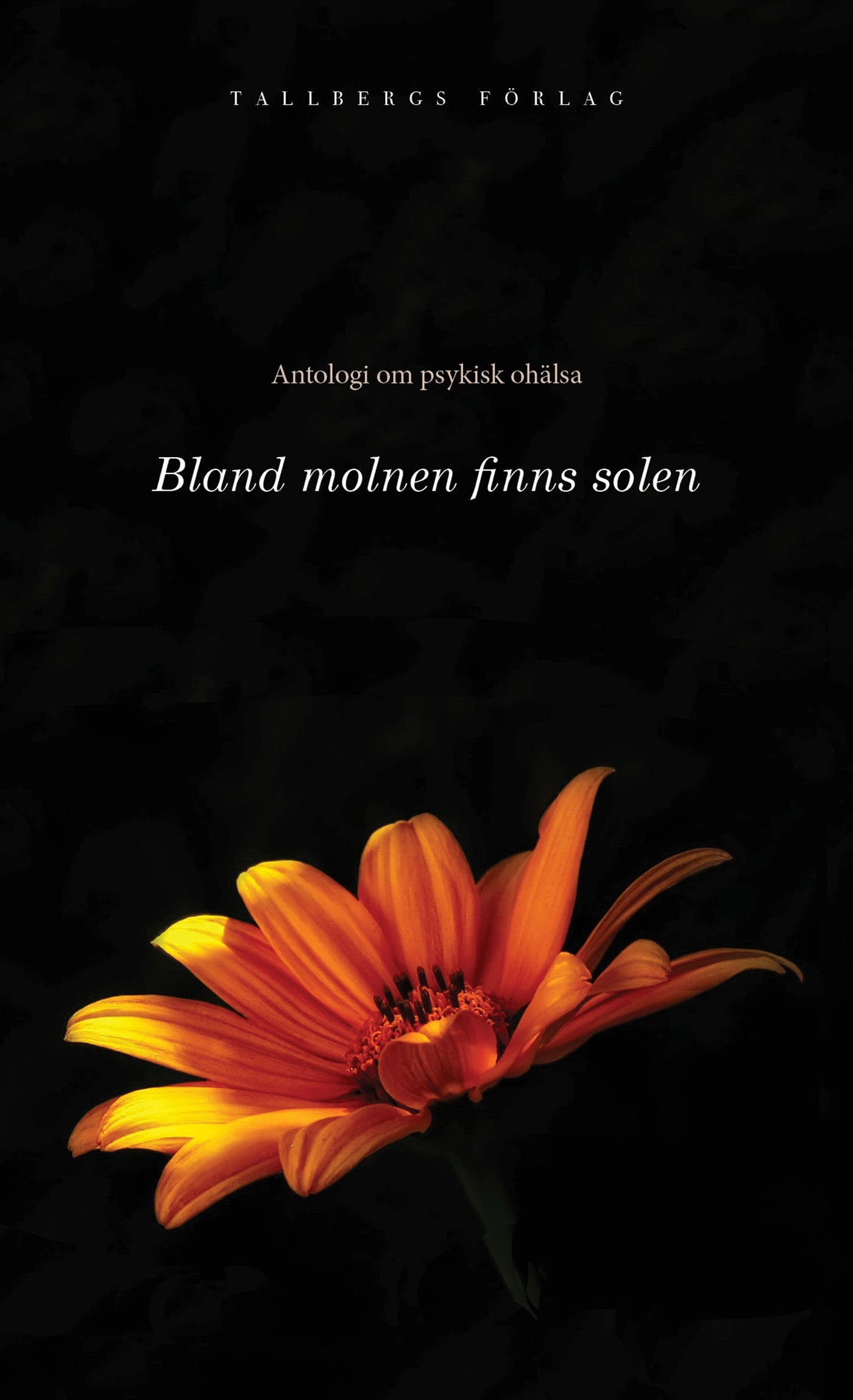 Antologi om psykisk ohälsa - bland molnen finns solen. – E-bok