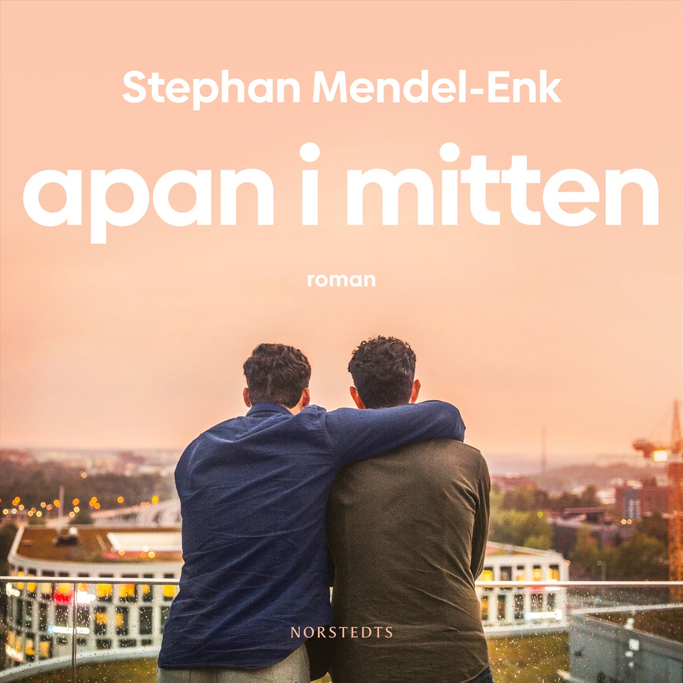 Apan i mitten – Ljudbok