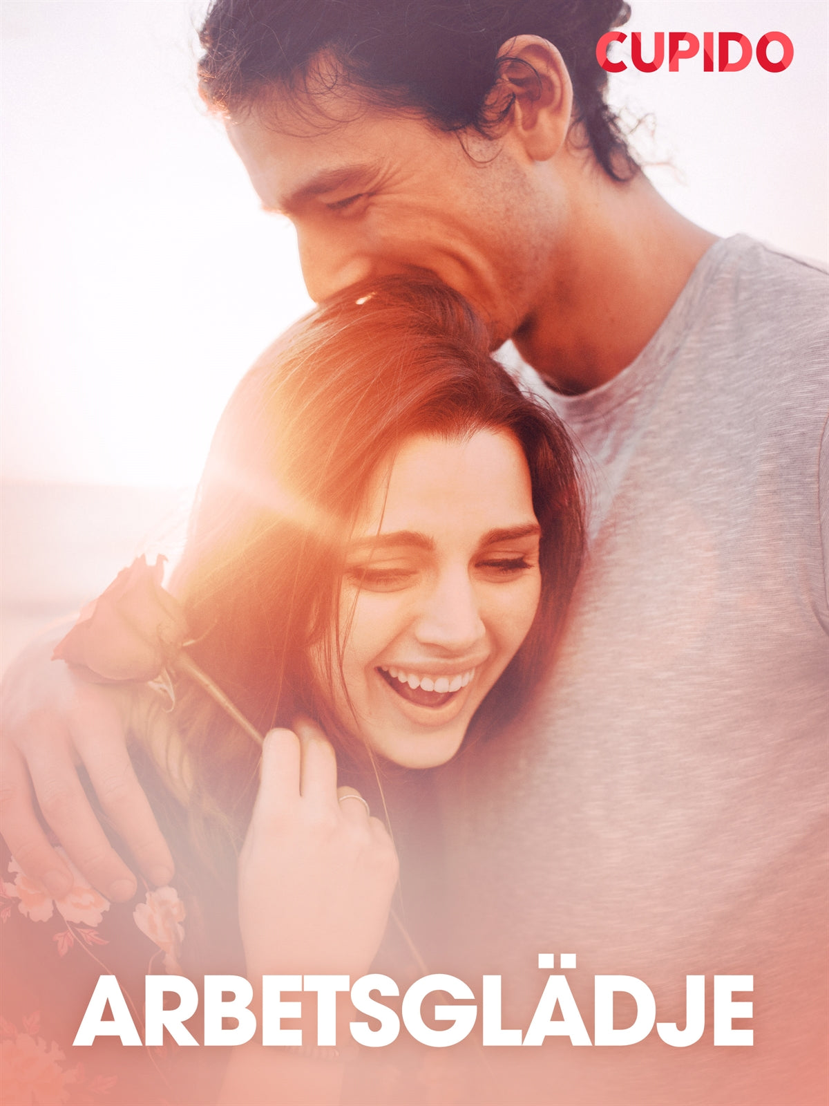 Arbetsglädje - erotiska noveller – E-bok