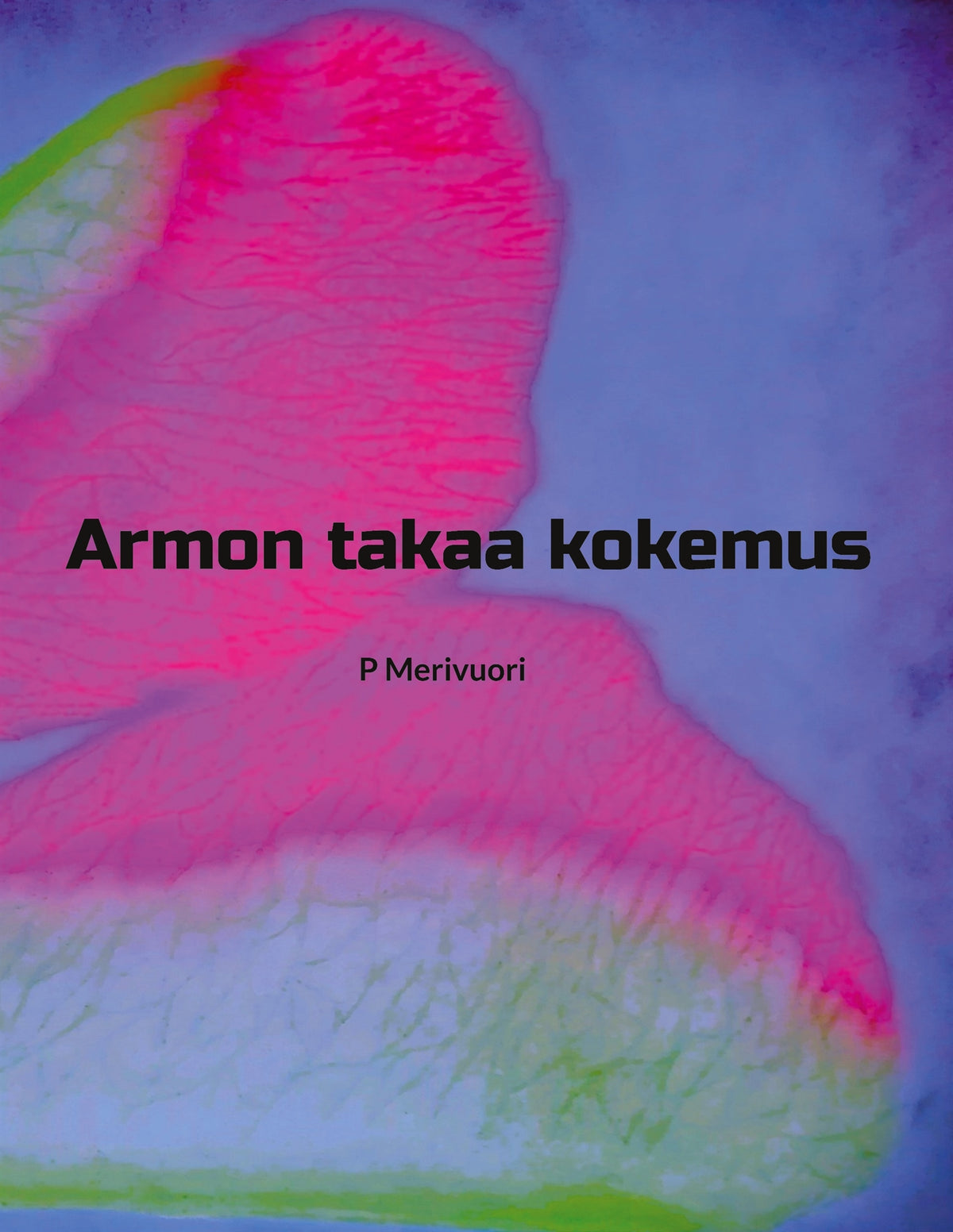 Armon takaa kokemus – E-bok