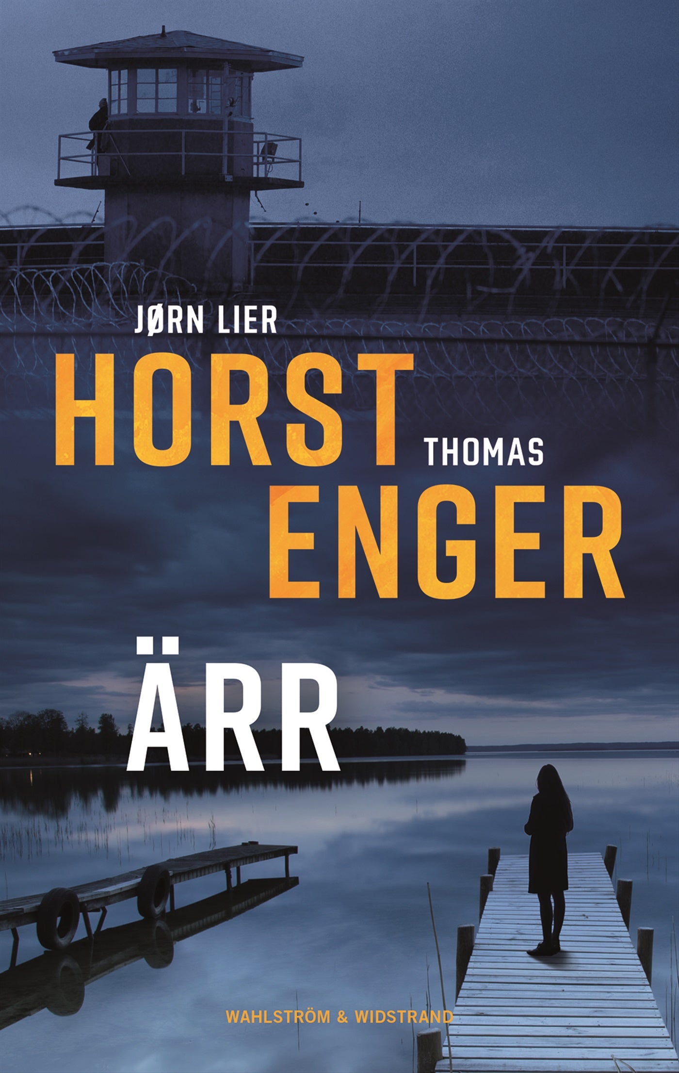 Ärr – E-bok