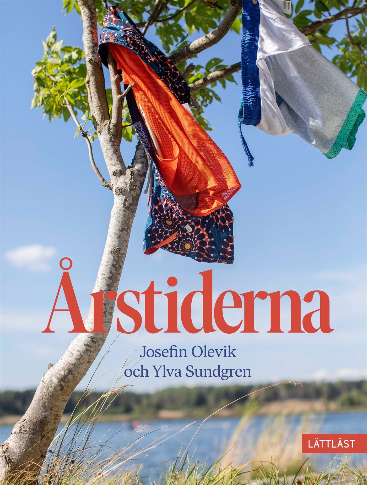 Årstiderna (lättläst) – E-bok