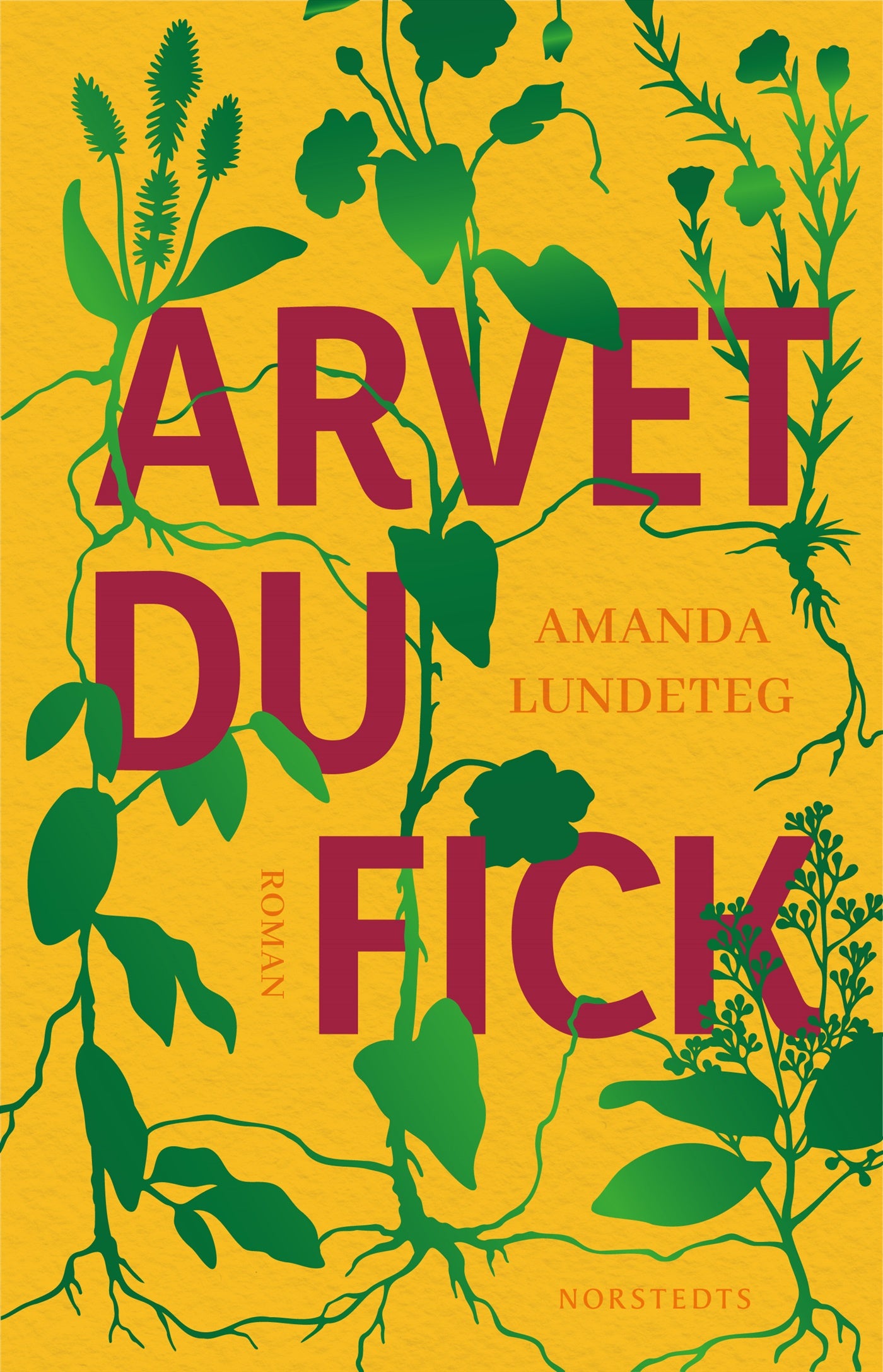 Arvet du fick – E-bok