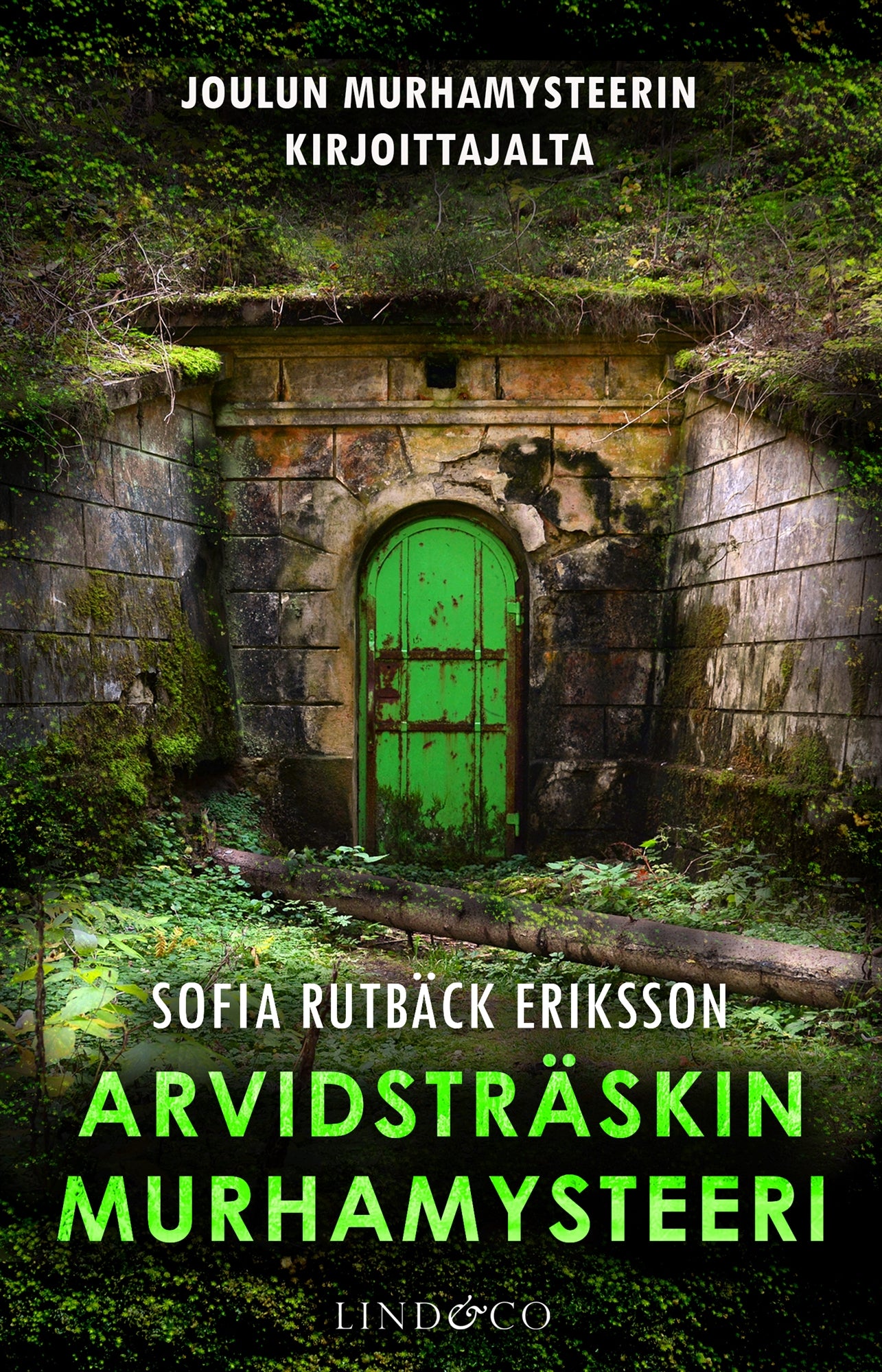 Arvidsträskin murhamysteeri – E-bok