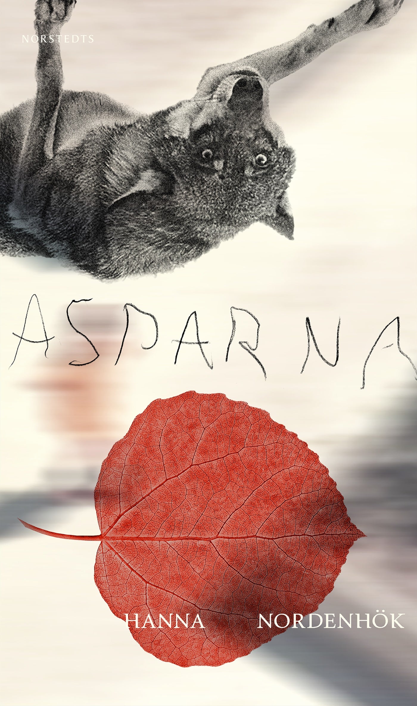 Asparna – E-bok