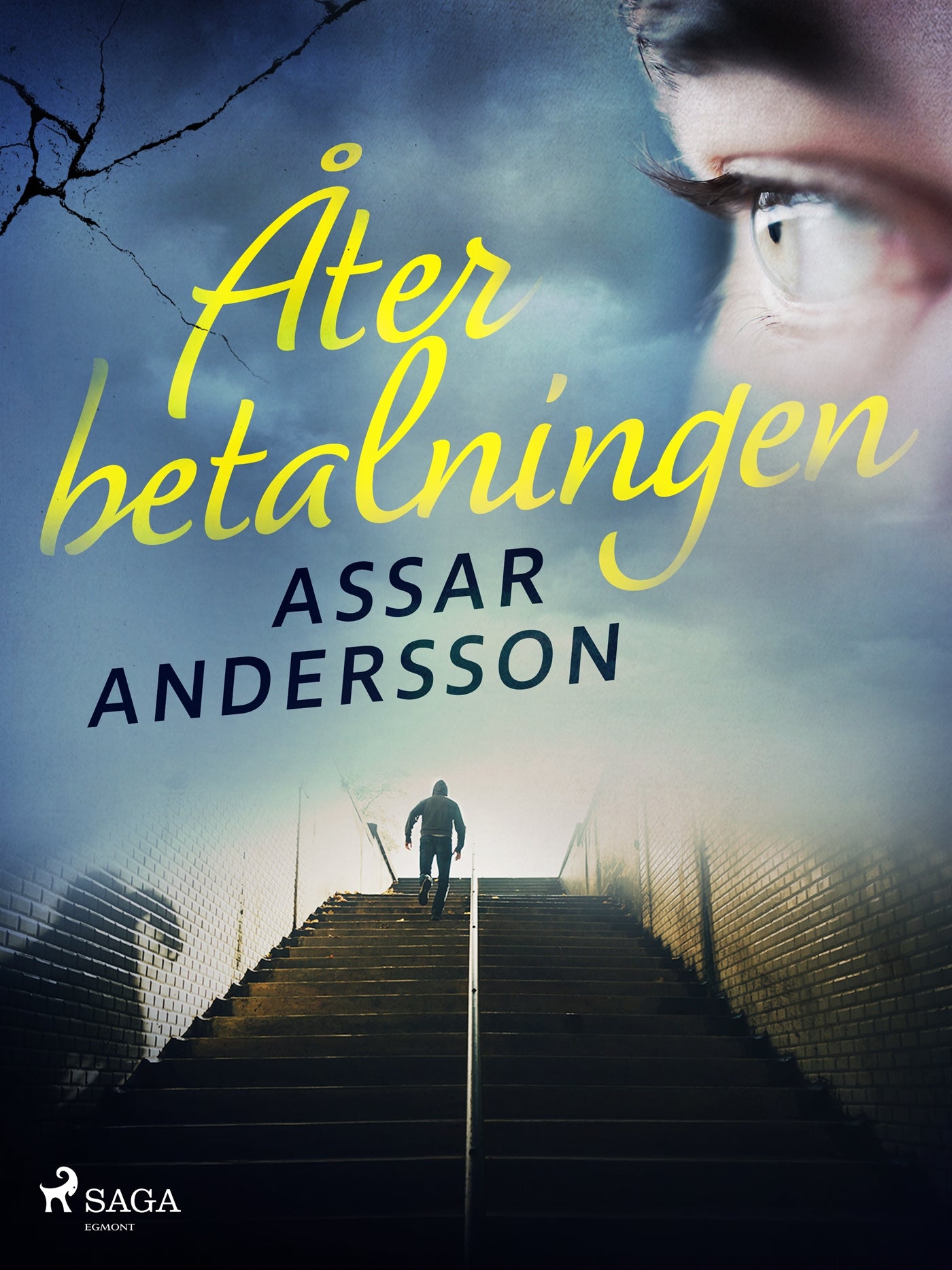 Återbetalningen – E-bok