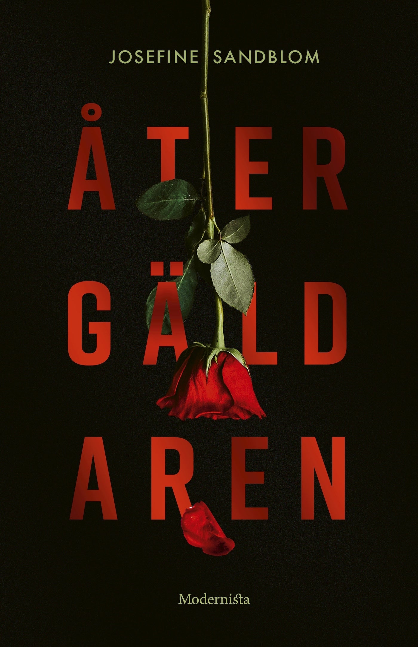 Återgäldaren – E-bok