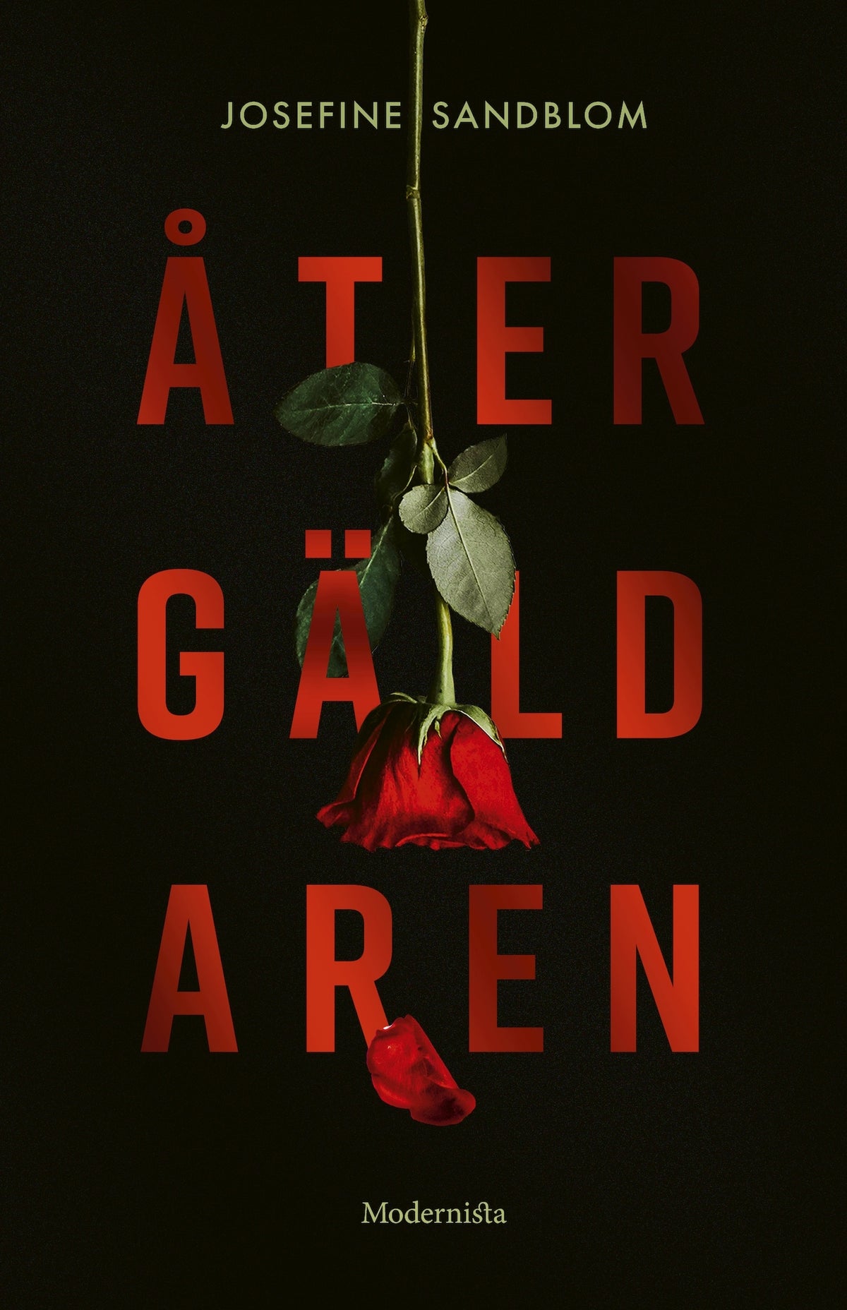 Återgäldaren – E-bok