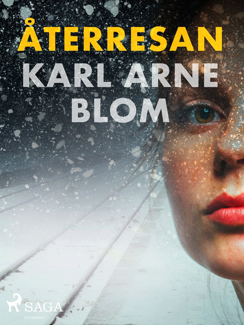 Återresan – E-bok