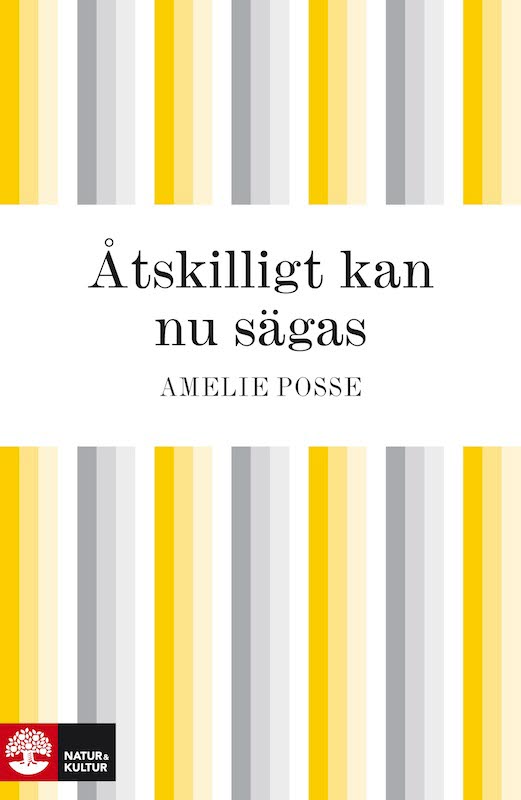 Åtskilligt kan nu sägas – E-bok