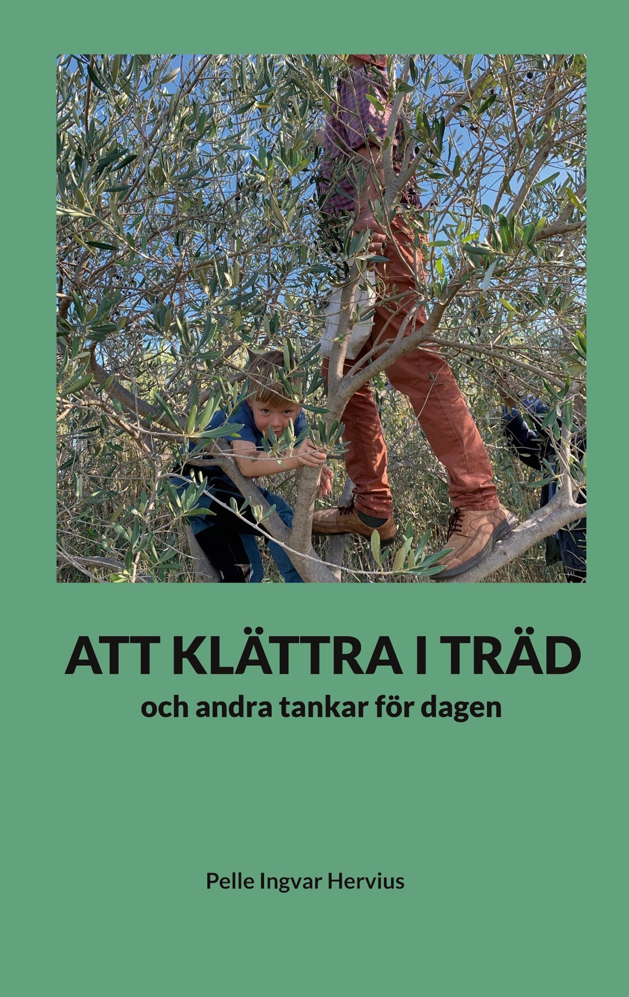 Att klättra i träd: och andra tankar för dagen – E-bok