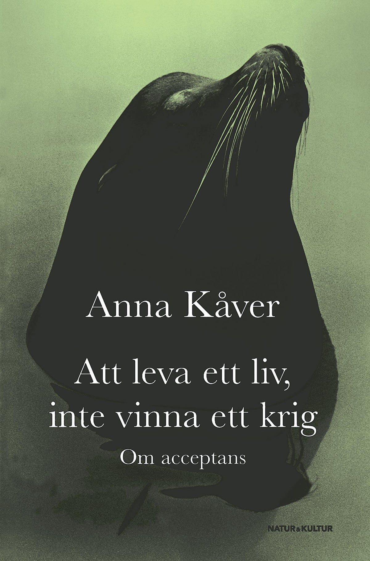 Att leva ett liv, inte vinna ett krig : om acceptans – E-bok