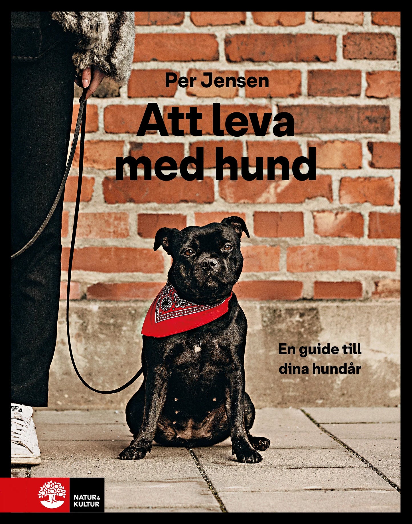 Att leva med hund : En guide till dina hundår - Digital - Laddas ner