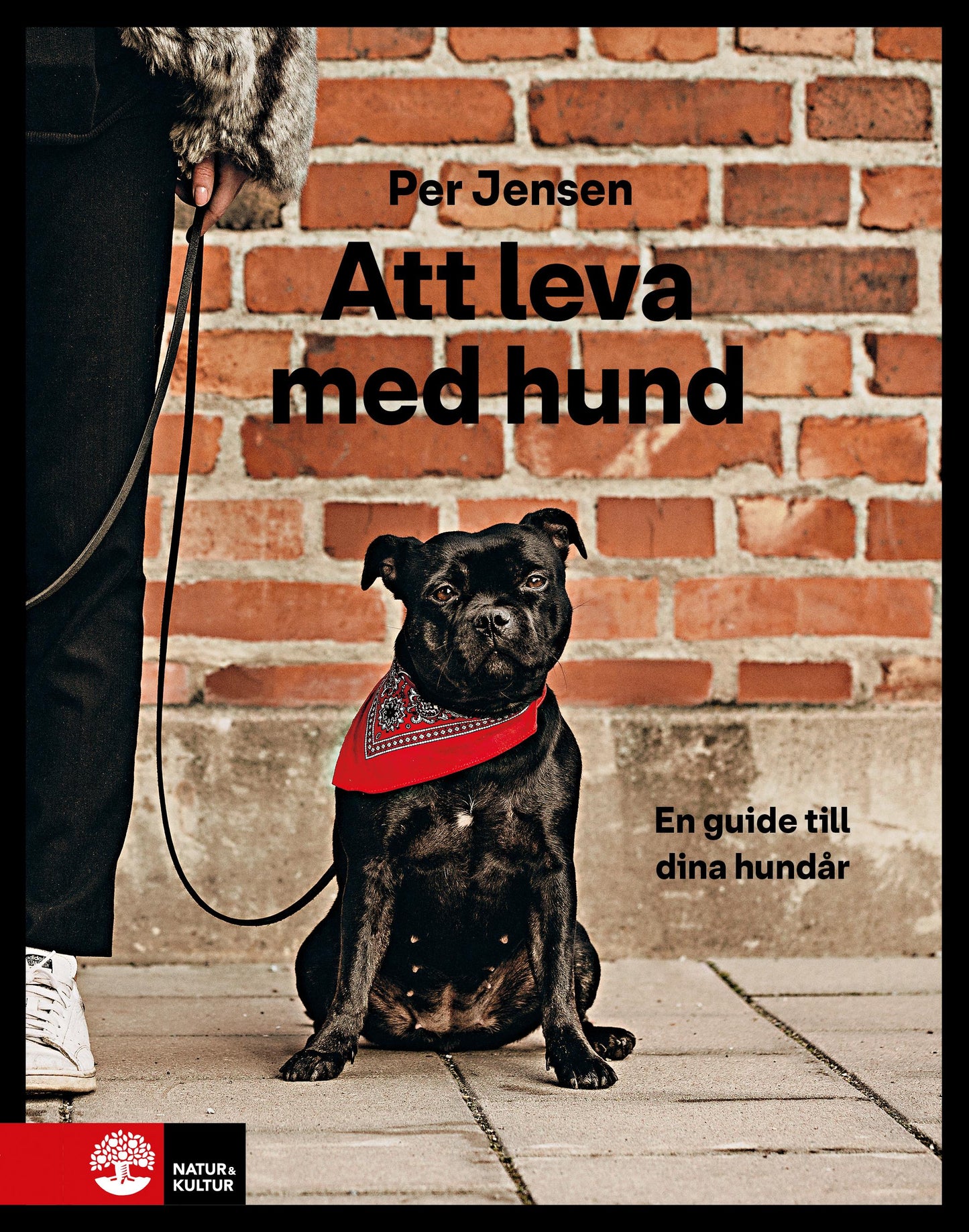 Att leva med hund : En guide till dina hundår – E-bok