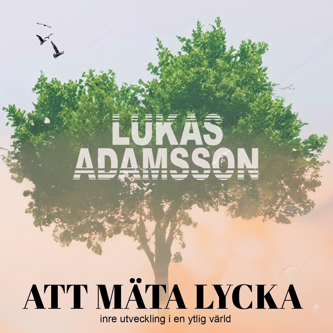Att mäta lycka: Inre utveckling i en ytlig värld – Ljudbok