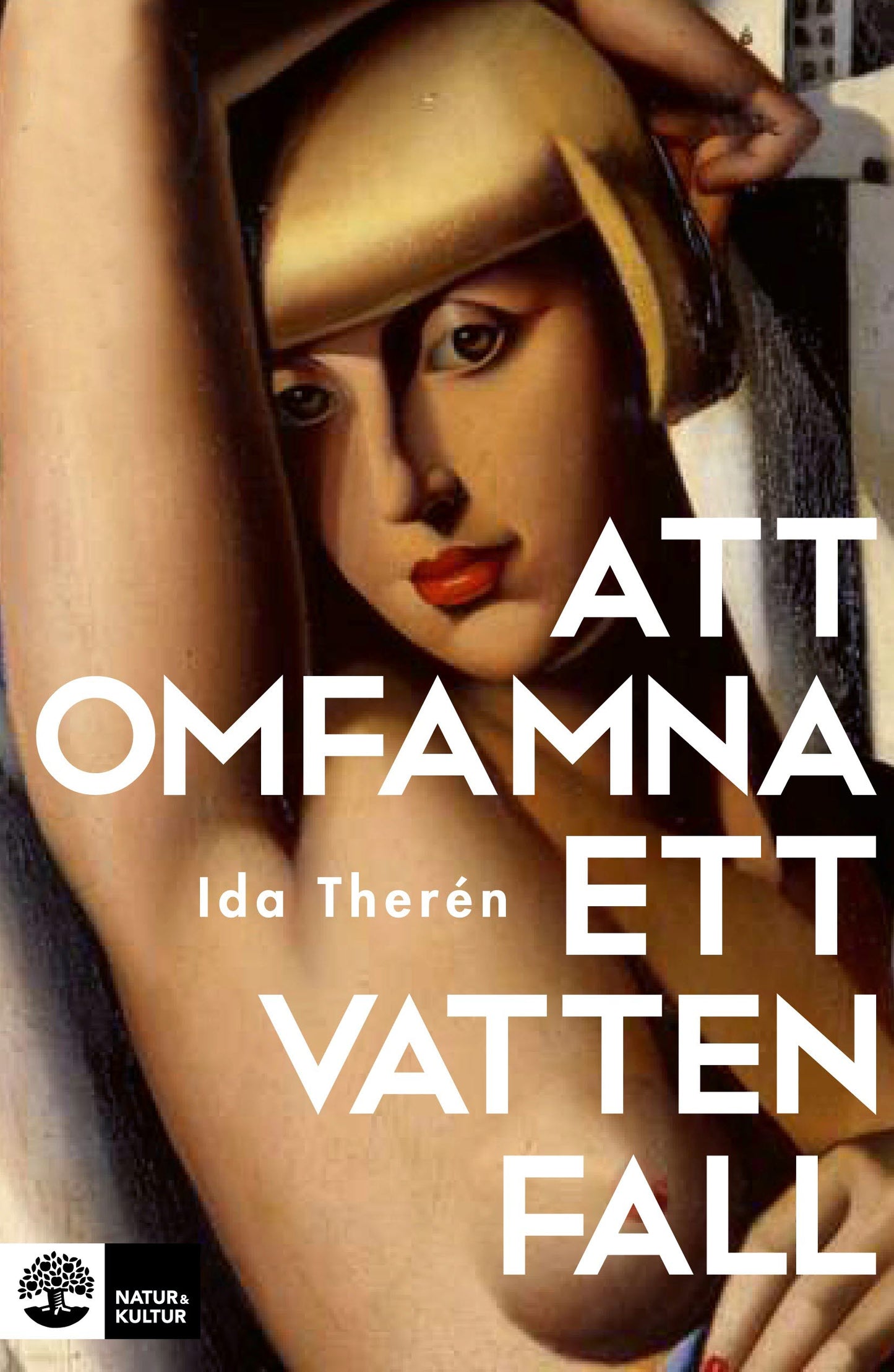 Att omfamna ett vattenfall – E-bok
