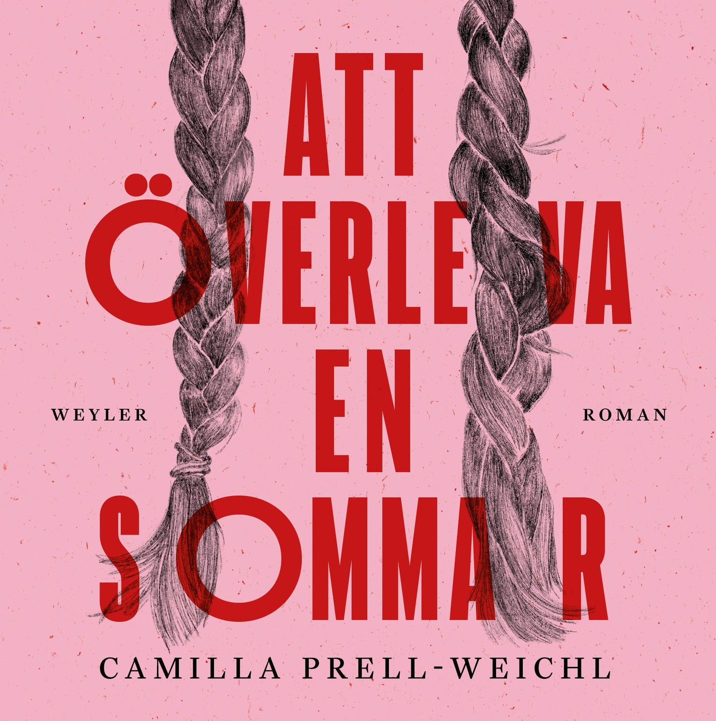 Att överleva en sommar – E-bok