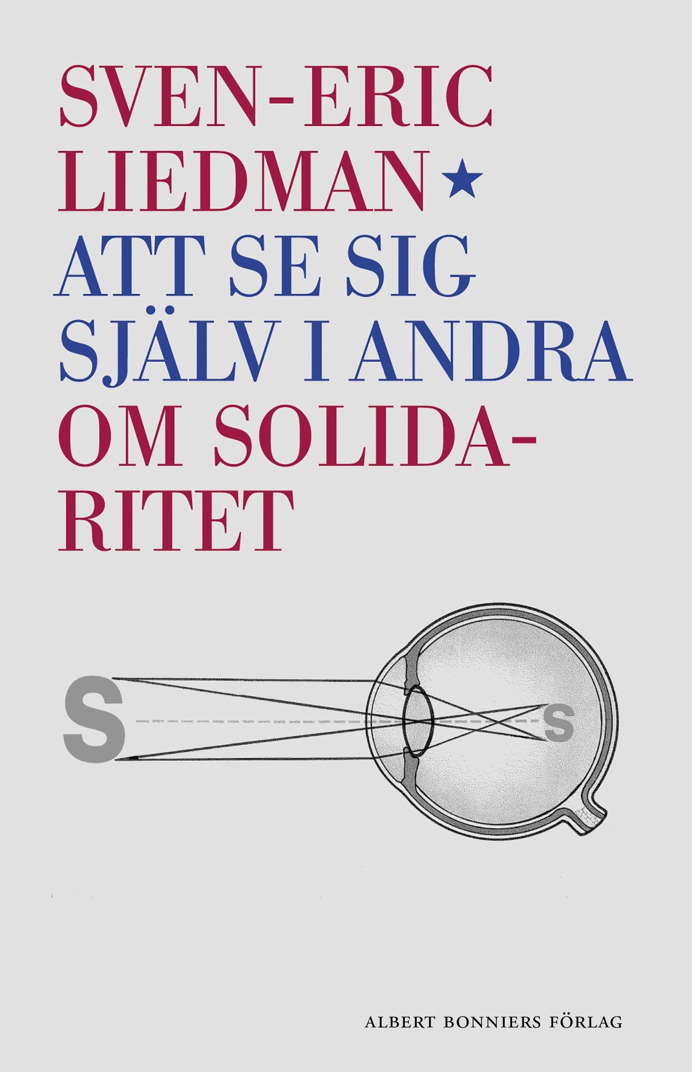 Att se sig själv i andra : om solidaritet – E-bok