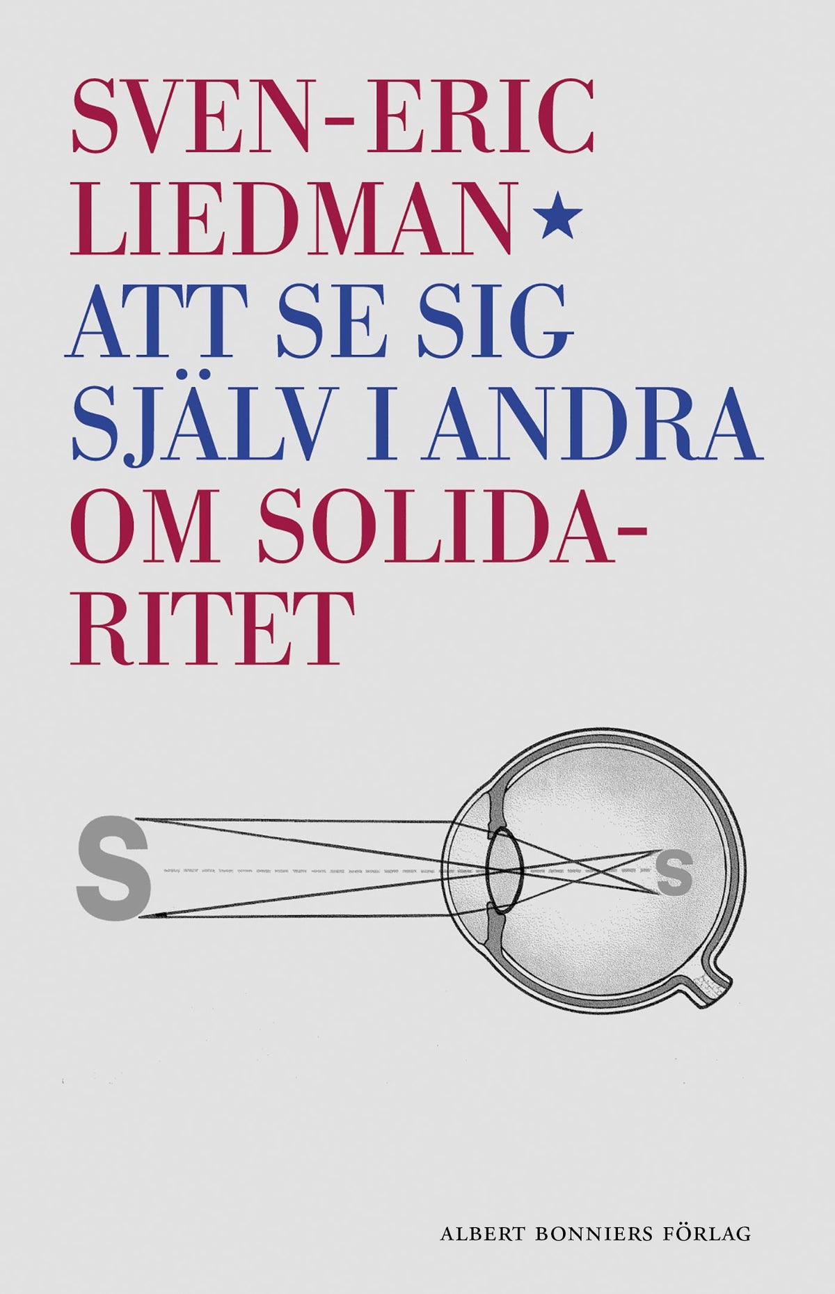 Att se sig själv i andra : om solidaritet – E-bok