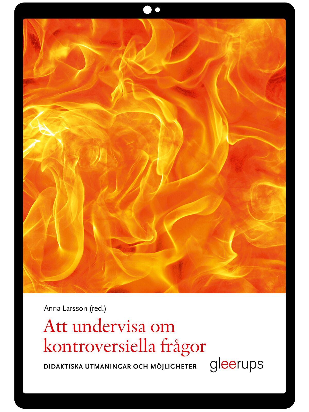 Att undervisa om kontroversiella frågor e-bok