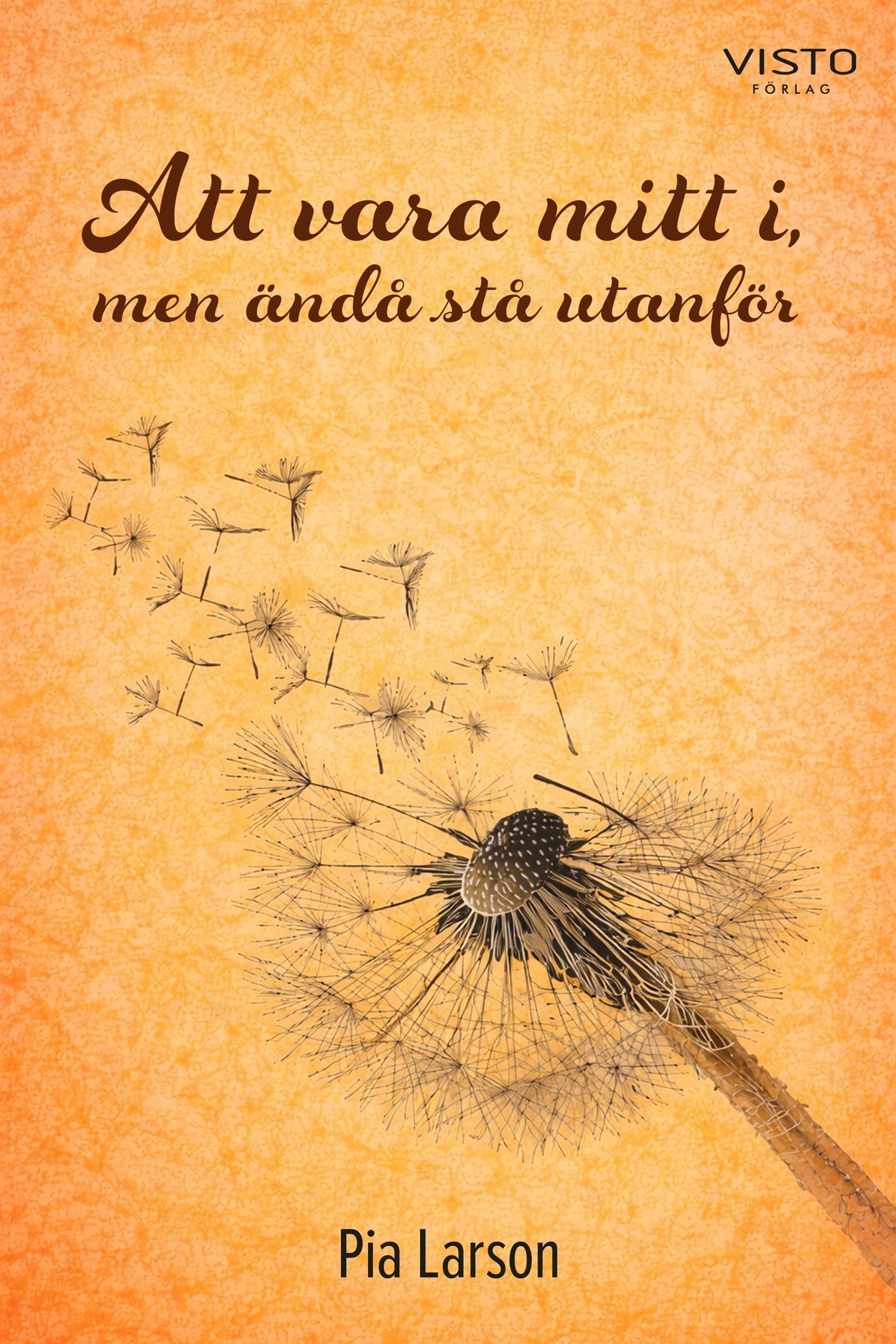 Att vara mitt i, men ändå stå utanför – E-bok